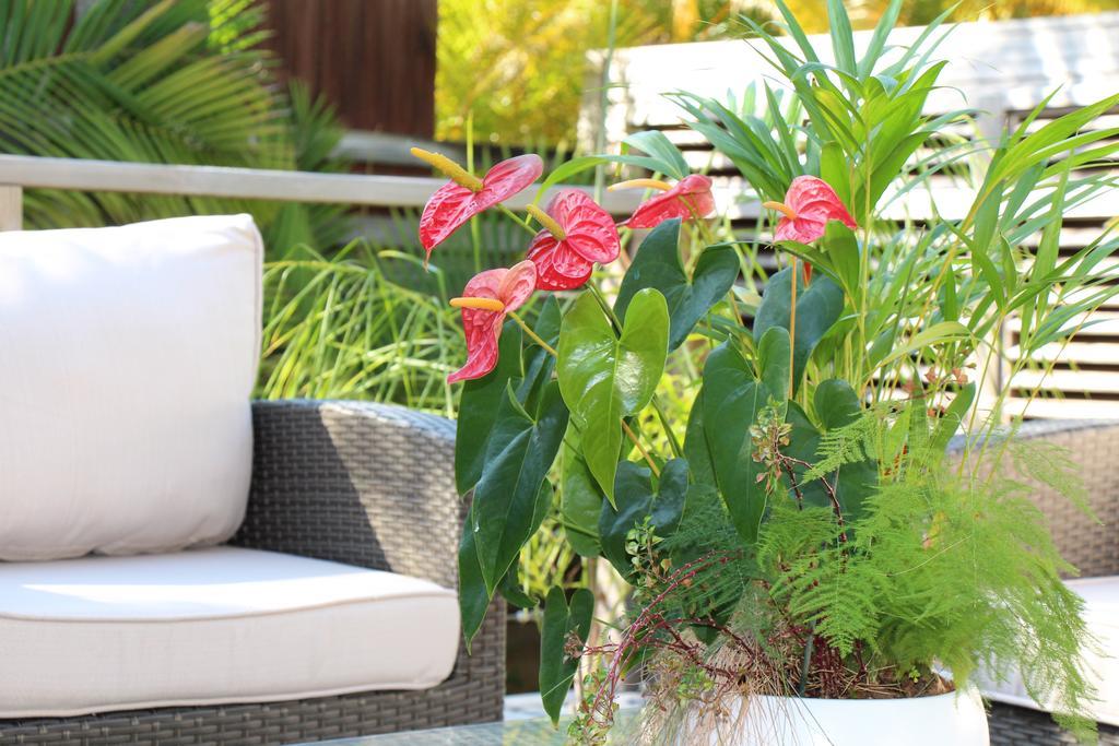 Margayillat Apartment Manapany-les Bains Bagian luar foto